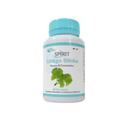 Spirit Ginkgo Biloba 90 Gelules