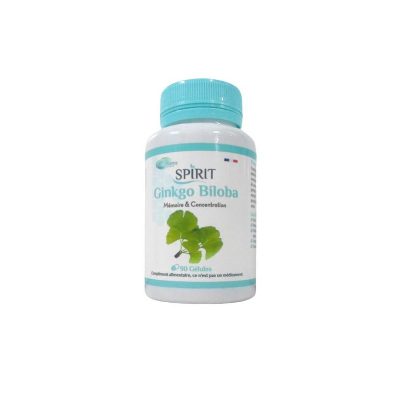 Spirit Ginkgo Biloba 90 Gelules
